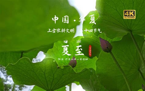 夏至|夏至（二十四节气之一）